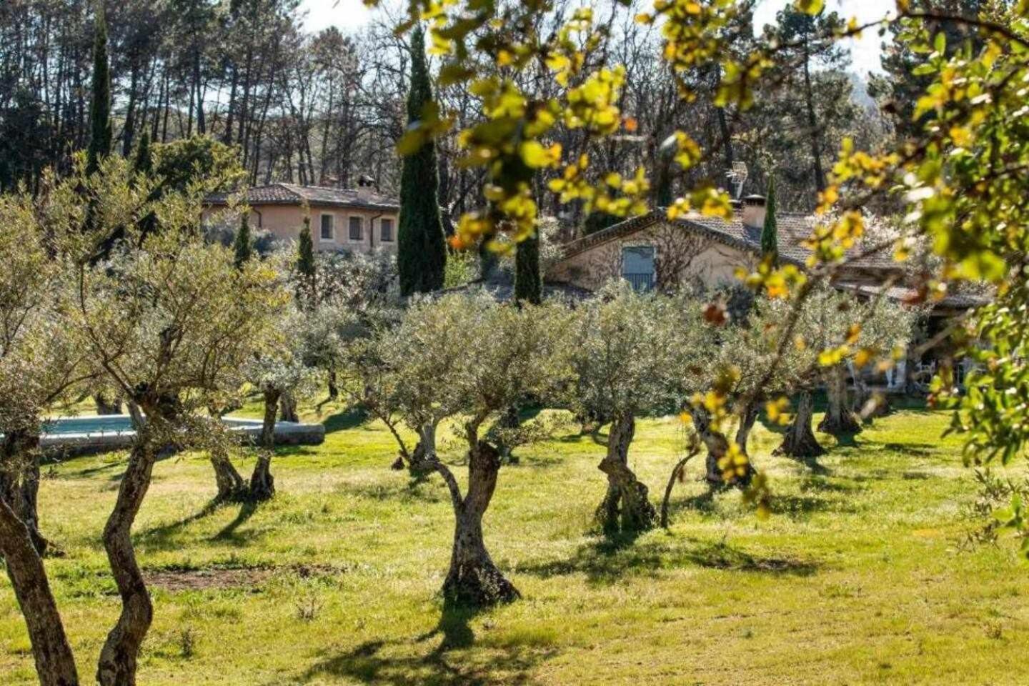 Vaqueria Cantaelgallo Jaraiz de la Vera Pokoj fotografie